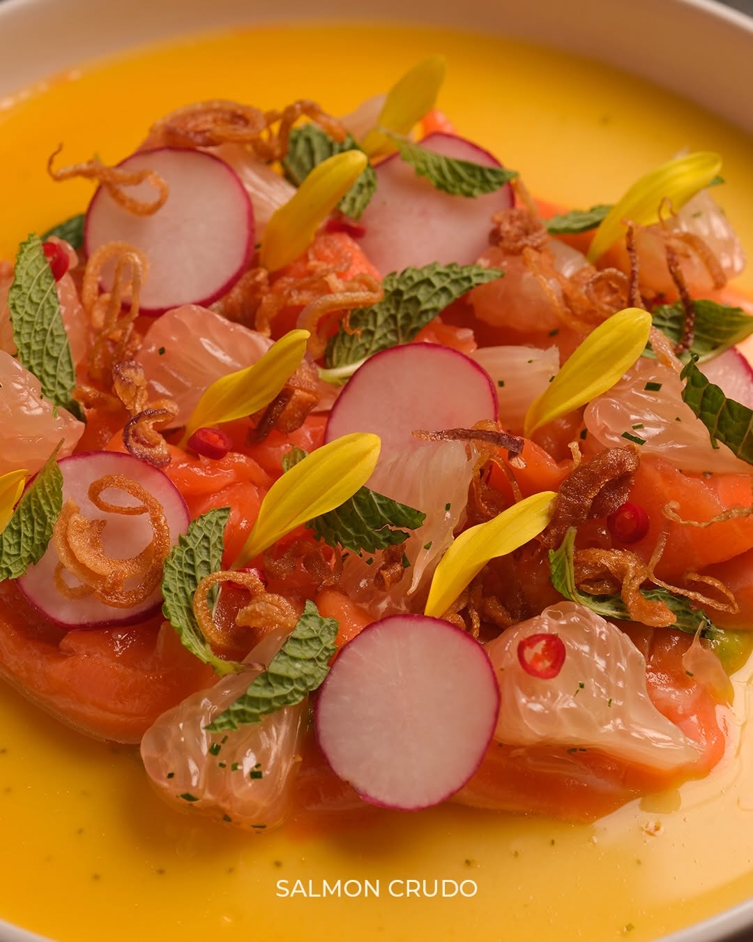 Salmon Crudo